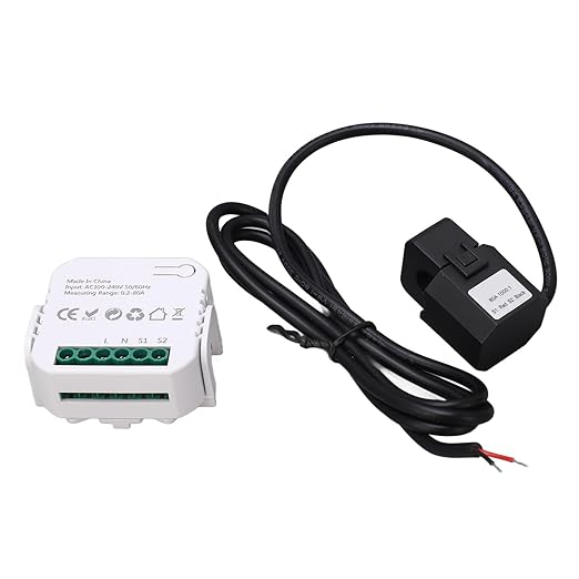 Fafeicy Smart WiFi Electricity Meter with Clamp, 80A Power Consumption Monitor, Remote Control, Overload Protection, Energy Management, Black