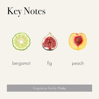 LAFCO New York Pura Smart Device Refill, Paradiso Fig - Pack of 2 - Each Vial Delivers Up to 2 Weeks of Fragrance Life - Made in the USA