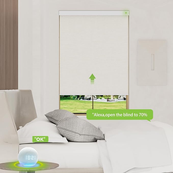 Motorized Blinds with Remote，100% Blackout Smart Blinds Motorized Roller Shades Compatible with Alexa Automatic Blinds for Windows Electric Window Blinds Customized Size Forsted Noir
