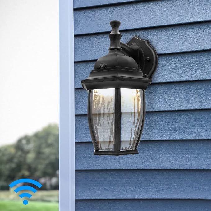 Maxxima Luvoni WiFi LED Outdoor Wall Light, 850 Lumens, CCT 2700K-6500K | Smart, Black w/ Clear Water Glass, App Controlled Porch Lantern, Dimmable, Works with Google Home/Alexa, by Maxxima