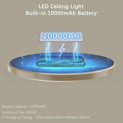 Battery Operated LED Celling Lights Fixture with Auto Motion Sensor, Smart Body Sensor Ceiling-mounted Lamps with 3 Colors/Brightness, Motion Detection Magnetic Celling Lights for Closet Shower-Gold
