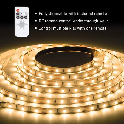 Armacost Lighting 451200 RibbonFlex Pro Series 60, 3000K-Kit 150 LED Lights