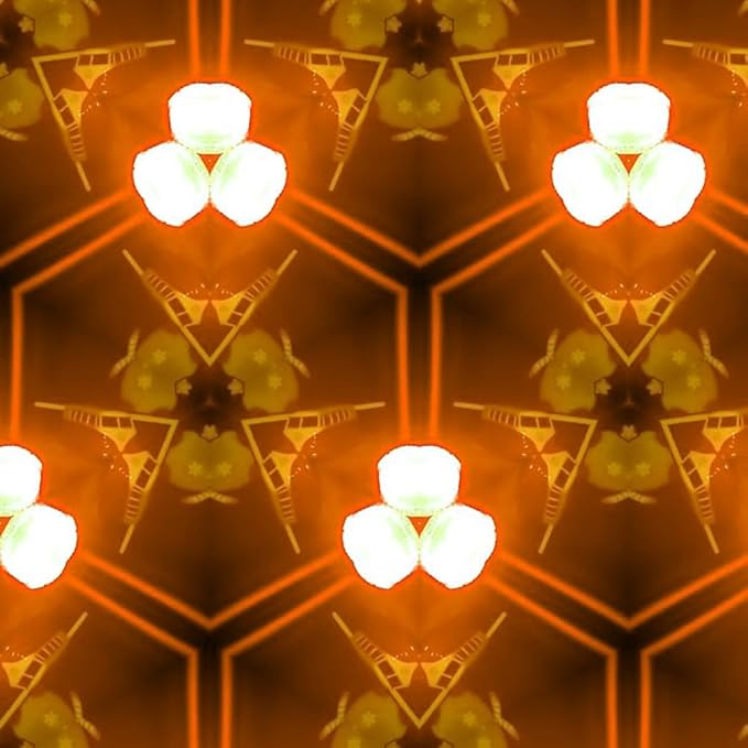 haraqi 2 Pack 9W (60W Equivalent) 120V E26 Base A19 LED Colored Light Bulb, Orange LED Lights for Party Christmas Decor and Halloween Lighting