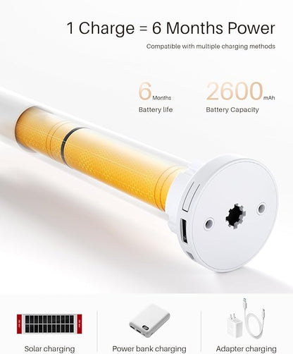 Smart Roller Shades for Windows, Alexa Blackout Motorized Blinds with Remote Control, Easy Install Automatic Electric Blinds for Indoor (29" W x 72" H, Gray)