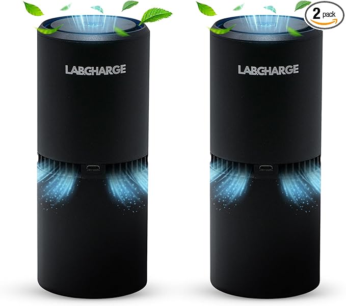 LabCharge Small Ionic Air Purifier for Home & Bedroom – Silent HEPA Filter – Covers 250 Sq Ft - Free Cleaner – Compact & Black Design - Pack of 2