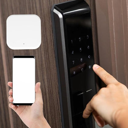 Fafeicy Smart Home, WiFi Bluetooth RJ45 Smart Device Hub with Mobile App Control for Entry Lock and Speaker