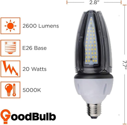 GoodBulb 20-Watt Acorn Light Retrofit LED Light Bulb | 100W Equivalent | 2600 Lumens | E26 Base Adapter 5000K Daylight White Color | 360° HID | Long Term Care Lighting | Pack of 2 Bulbs
