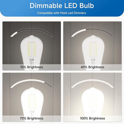 SHINESTAR Dimmable Edison Bulbs, 6W, Equivalent 60W, Bright Daylight White 4000K, Vintage ST58 Antique LED Filament Bulbs, E26 Medium Base, 80+ CRI, Clear Glass, 8 Pack
