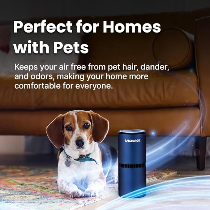 Lab Charge Small Ionic Air Purifier for Home & Bedroom – Silent HEPA Filter – Covers 250 Sq Ft - Free Cleaner for Pets, Hair, Smoke, Dust, Odors & Dander – Compact & Blue Design - Pack of 3
