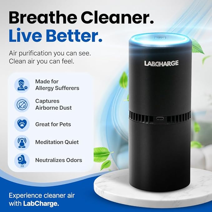 LabCharge Small Ionic Air Purifier for Home & Bedroom – Silent HEPA Filter – Covers 250 Sq Ft - Free Cleaner – Compact & Black Design - Pack of 2