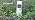 Ambient Weather WS-2902 Wi-Fi Smart Weather Station