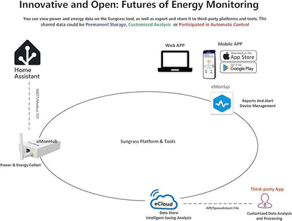 Home Energy Monitor-Real Time Electricity Usage Monitor,Power Usage Meter, Energy Usage Monitor,Energy Monitor for Home Assistant,Power Monitor,Circuit Monitor,Electric Use Monitor
