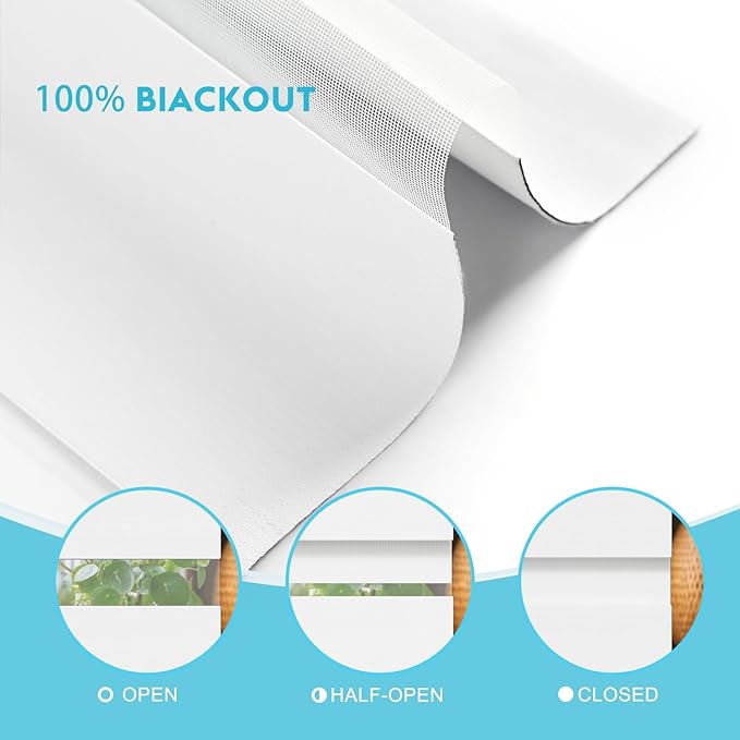 Motorized Zebra Blinds with Remote Smart Blind Work with Homekit Alexa SmartThings Electric Shade Cordless Automatic Solar Powered Window Shade Customize(100% Blackout Pure White)