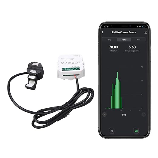 Fafeicy Smart WiFi Electricity Meter with Clamp, 80A Power Consumption Monitor, Remote Control, Overload Protection, Energy Management, Black