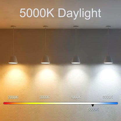 3.2 Inch 5000K Daylight White E26 LED Bulb 60 Watt Equal, AC 120V 600LM Edison Bulbs Dimmable, 6W T10 T30 Filament Light Bulbs Clear Glass for Fan Pendant Wall Light, UL Certified-6 Pack