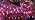 JMEXSUSS 100 LED Globe Orange and Purple Halloween Lights Indoor Remote