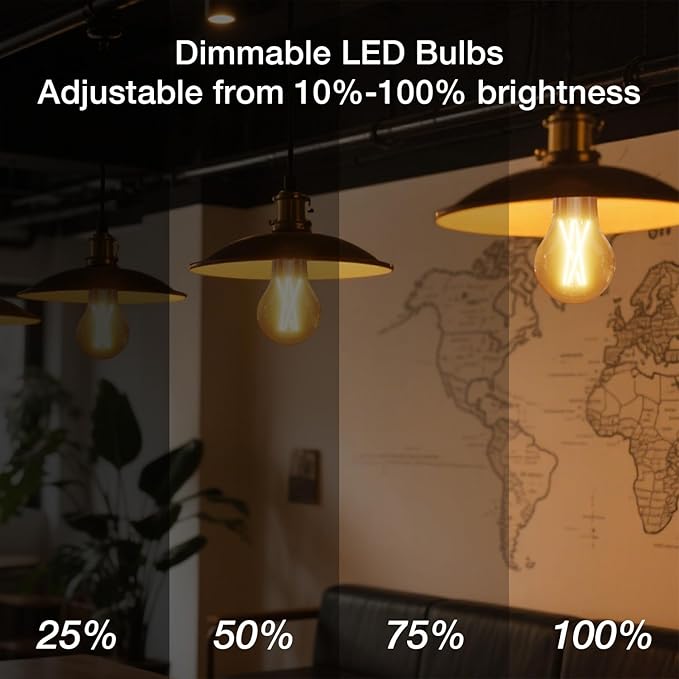 DAYBETTER 12 Pack A19 Vintage LED Edison Bulbs, 60W Equivalent, Dimmable, High Brightness 2700K Warm White, 800 Lumens, 8W E26 Standard Base, CRI80+, Clear Glass Filament Bulb for Living Room