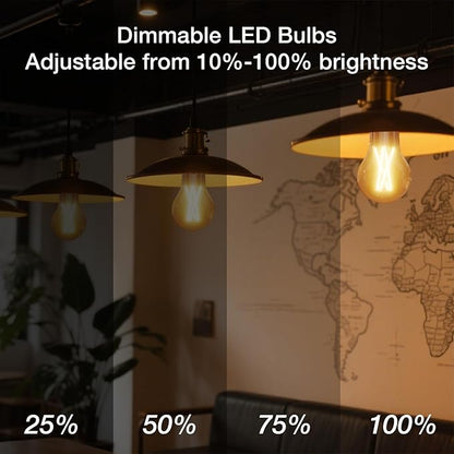 DAYBETTER 12 Pack A19 Vintage LED Edison Bulbs, 60W Equivalent, Dimmable, High Brightness 2700K Warm White, 800 Lumens, 8W E26 Standard Base, CRI80+, Clear Glass Filament Bulb for Living Room