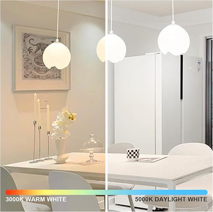 6-Pack 14W LED Dimmable Light Bulbs 100 Watt Equivalent, A19 LED Light bulbs Bright 1500LM LED Bulbs with E26 Standard Medium Base for Kitchen Bedroom Office Indoor, No Flicker, Warm White 3000K