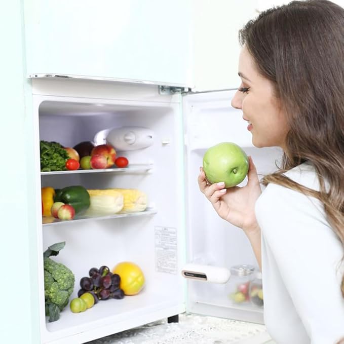Odor Fridge Deodorizer Refrigerator Deodorizer Portable Odor Deodorizing Machine Fridge Electronic Purifier for Food Fresh