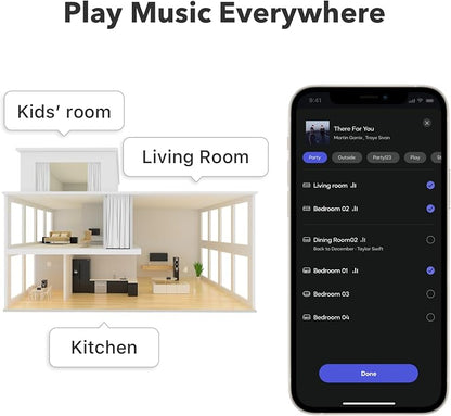 WiiM Pro Plus Music Streamer for Stereo Systems, Modernize Your Hi-Fi