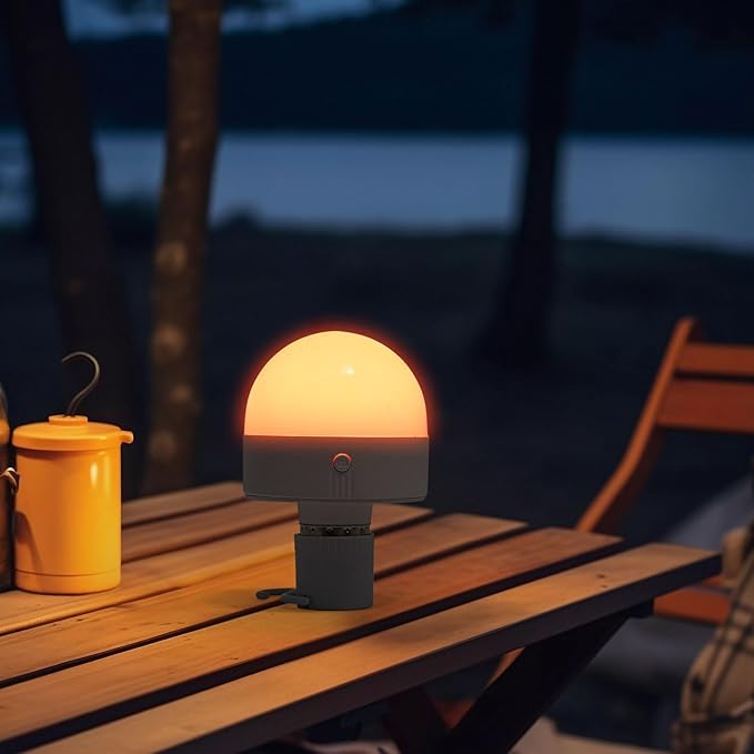 Rechargeable Light Bulb RGB Bulb with Remote, 2000 mAh LED w/Timer & Dimmable, Portable Emergency Operated Bulb w/Hook, Camping Lantern for Tent Hiking Fishing Outdoor Home Power Failure