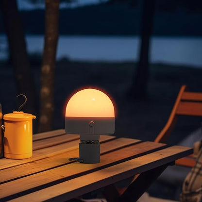 Rechargeable Light Bulb RGB Bulb with Remote, 2000 mAh LED w/Timer & Dimmable, Portable Emergency Operated Bulb w/Hook, Camping Lantern for Tent Hiking Fishing Outdoor Home Power Failure