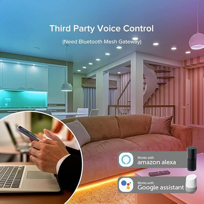 SEZO LM053 Bluetooth Mesh LED Controller 5in1 for Single Color CCT RGB RGBW RGBCCT Strip Lights Compatible with Alexa/Google Assistant Smart Life/Tuya APP Control Color Change Brightness Dimming