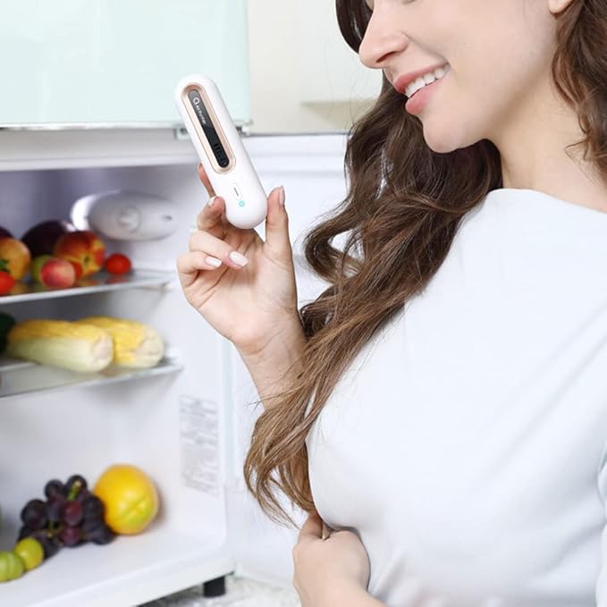 Odor Fridge Deodorizer Refrigerator Deodorizer Portable Odor Deodorizing Machine Fridge Electronic Purifier for Food Fresh