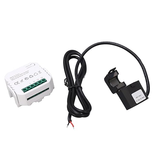 Fafeicy Smart WiFi Electricity Meter with Clamp, 80A Power Consumption Monitor, Remote Control, Overload Protection, Energy Management, Black