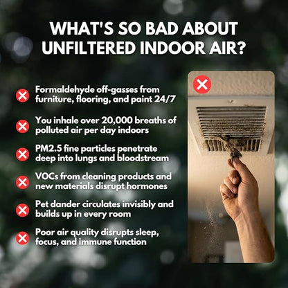 PRIMALS Clean Air Pod - H13 True HEPA + Activated Carbon Air Purifier for Home - Covers Up to 800 Ft² - For Bedrooms, Kitchens, Bathrooms, Offices - Ultra Quiet & Portable