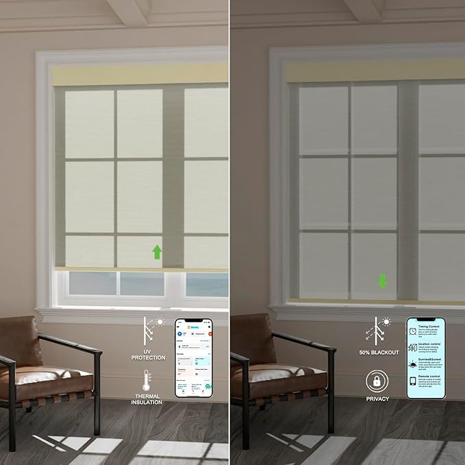 Motorized Blinds with Remote [Light Filtering] Smart Blinds Compatible with Alexa Google HomeKit, 50% Blackout Automatic Roller Shades for Indoor Windows, Customized Size, Mist Light Gray