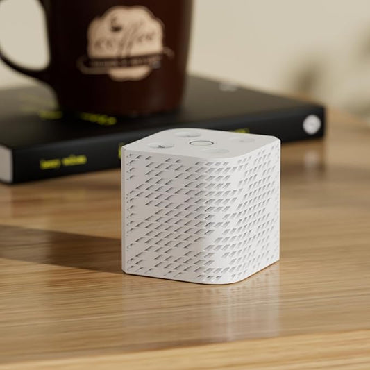 Third Reality Voice/Music Assistant Dev Edition – Preloaded with Home Assistant Voice Assistant and Music Assistant, Dual Digital Mics, 3W Speaker, 2.4G WiFi only, Open Source