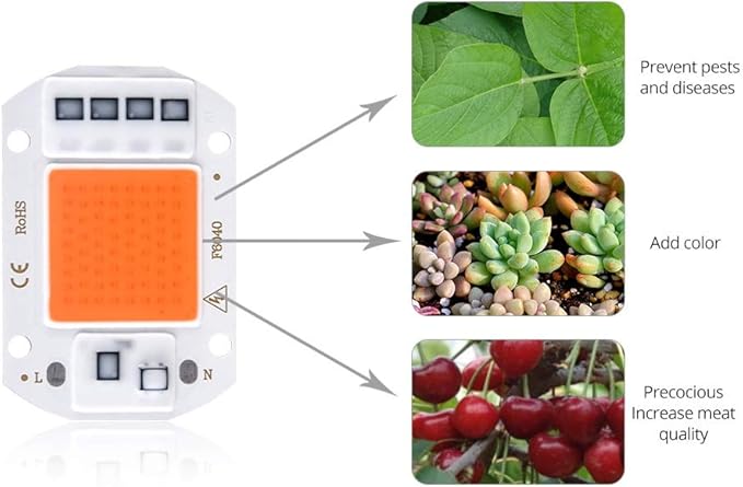 Fengyan Home Bulbs LED Grow Light Full Spectrum LED Phyto Lamp 10W 20W 30W 50W COB Fitolampy Smart IC LED Diode Matrix Growing Lamp Household Lamp (Emitting Color : Red, Wattage : 220V)