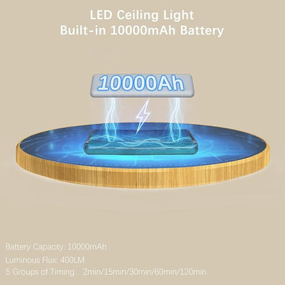 Battery Operated LED Celling Lights Fixture with Auto Motion Sensor, Smart Body Sensor Ceiling-Mounted Lamps with 3 Colors/Brightness, Motion Detection Magnetic Celling Lights for Closet Shower-Wood
