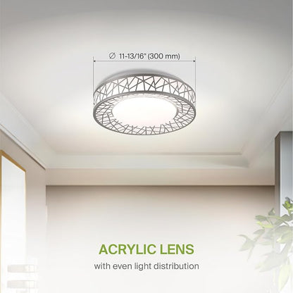 ASD 12 Inch LED Flush Mount Ceiling Light - Brushed Nickel Modern Ceiling Light Fixture 20W 1113LM, 2700-5000K Adjustable Small Ceiling Lights for Kitchen, Bedroom, Hallway, Closet, ETL
