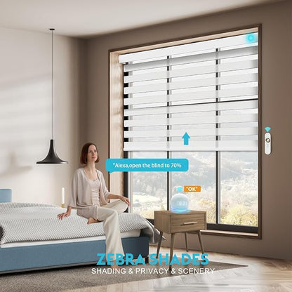 Motorized Zebra Blinds with Remote, Work with HomeKit Alexa, Smart Light Filtering Horizontal Automatic Electric Window Shades for Home Office Customsize(50% Blackout Drumbeat White)