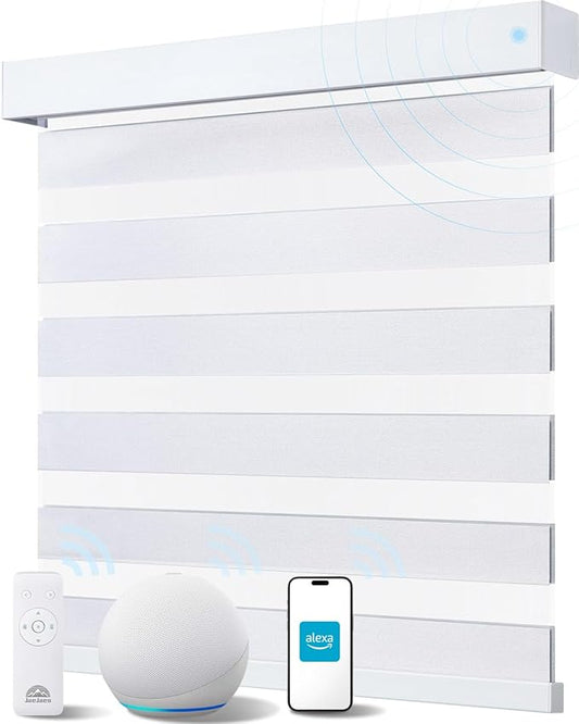 Smart Zebra Blinds for Windows, Alexa Motorized Blinds with Remote Control, Automatic Electric Power Zebra Shades for Indoor Windows (62" W x 72" H, White)