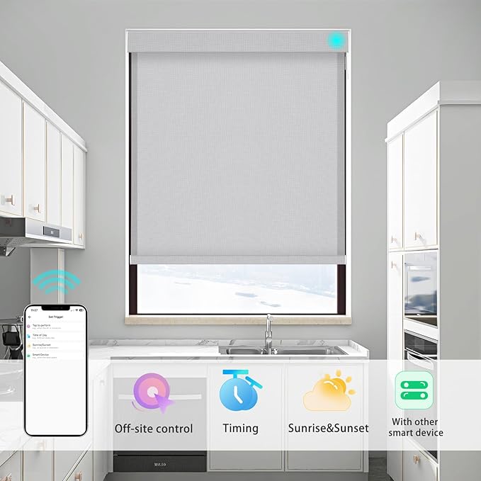 Changshade Smart Roller Shade with Remote Control Light Filtering Automatic Window Shades for Home Custom Size Motorized Blinds for Windows Work with Alexa,Google Home,Apple Homekit, Grey