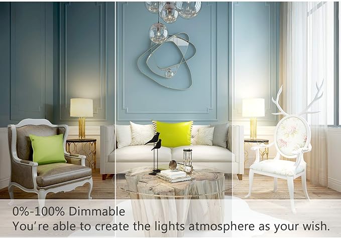 LED Edison Light Bulbs, 2700K Soft White, 6-Pack, Vintage Bulbs 40 Watt Equivalent, Filament Bulb, A19 Decorative LED Light, 5W, 500LM, Dimmable, Clear Glass, E26 Base