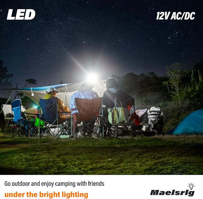 LED 12V Light Bulb, 100W Equivalent, Daylight White 5000K, 13W 1200 Lumens, 12 Volt AC/DC, Non-Dimmable E26 Base, Low Voltage Light Bulbs for Boat, RV, Shed, Off Grid Cabin, and Solar Power, 4-Pack