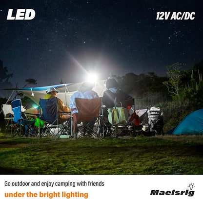 LED 12V Light Bulb, 100W Equivalent, Daylight White 5000K, 13W 1200 Lumens, 12 Volt AC/DC, Non-Dimmable E26 Base, Low Voltage Light Bulbs for Boat, RV, Shed, Off Grid Cabin, and Solar Power, 4-Pack
