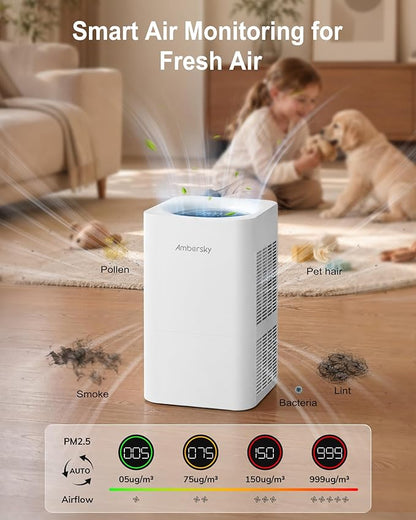 Ambersky Air Purifier for Home, True HEPA Filter for Large Room Up To 2500 Sq Ft, with Real-Time AQI & PM2.5 Display, Sleep Mode, 5 Fan Speeds, 360° Air Cleaner for Pet Hair, Smoke, Dust, Odor
