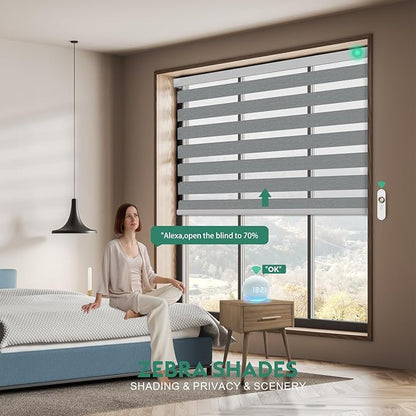 Motorized Zebra Blinds with Remote, Work with HomeKit Alexa Automatic Electric Window Shades 95% Blackout Light Filtering for Smart Home and Office, Customized Size Modern Silver