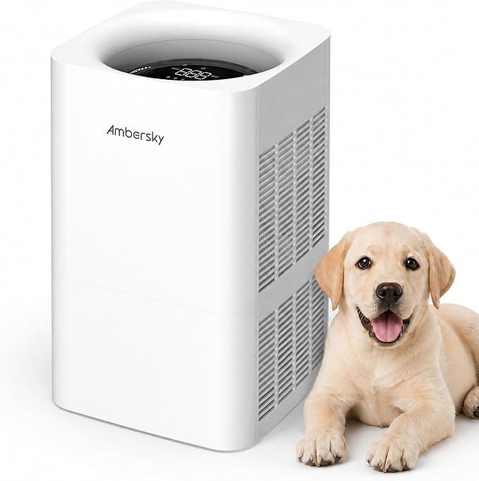 Ambersky Air Purifier for Home, True HEPA Filter for Large Room Up To 2500 Sq Ft, with Real-Time AQI & PM2.5 Display, Sleep Mode, 5 Fan Speeds, 360° Air Cleaner for Pet Hair, Smoke, Dust, Odor