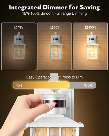 VIANIS Motion Sensor Exterior Wall Light, Brightness Distance Adjustable