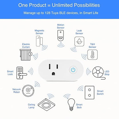 HAUZA 2 in 1 - Bluetooth Mesh Hub & Smart Plug - Enable 2.4 GHZ WiFi for Voice Control & Automations of Hauza and Tuya BLE Devices