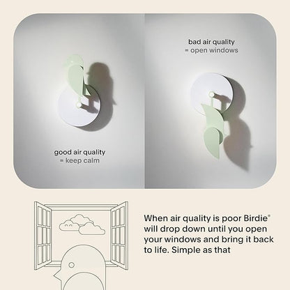 Birdie 2.0 - Design Indoor CO2 Monitor for House Burping - Air Quality Meter for Home & Office -Visual Air Quality Sensor for Fresh Air - Wall Mounted -Swiss Sensor Technology-Meadow, FullBirdie