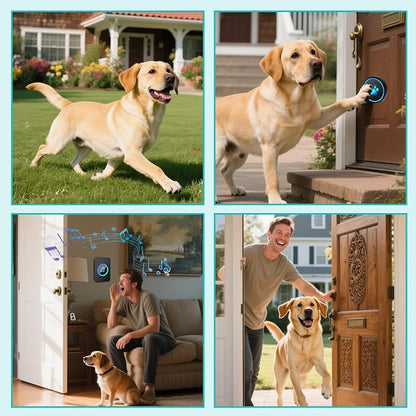 Dog Door Bell for Potty Training, Smart Wireless Doggie Doorbell to Go Outside, 1000 Feet Long Range with IP65 Waterproof Super-Light Touch Button, 60 Melodies & Adjustable Volume (Black)
