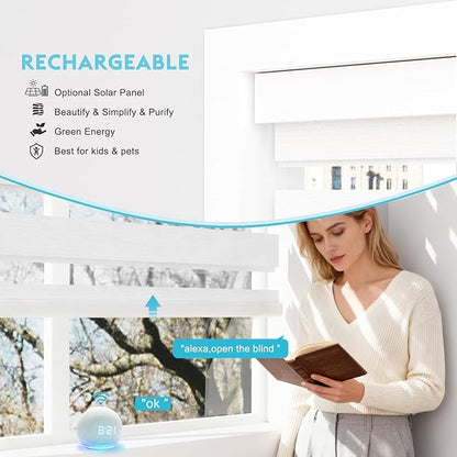 Motorized Zebra Blinds with Remote, Work with HomeKit Alexa, Smart Light Filtering Horizontal Automatic Electric Window Shades for Home Office Customsize (100% Blackout Pure White)